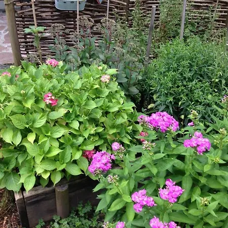 Blockhaus-traum Huber * 加爾米施-帕滕基興