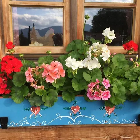 Blockhaus-traum Huber Apartamento *