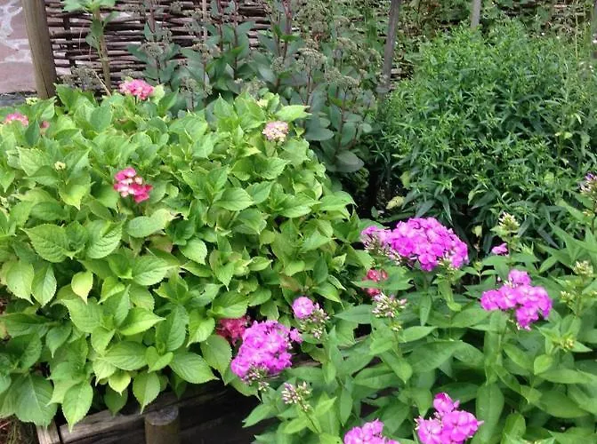 Blockhaus-traum Huber * Garmisch-Partenkirchen