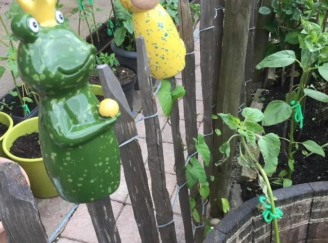 Blockhaus-traum Huber * Garmisch-Partenkirchen
